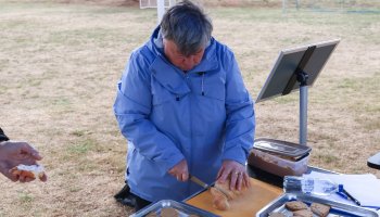 img_5966