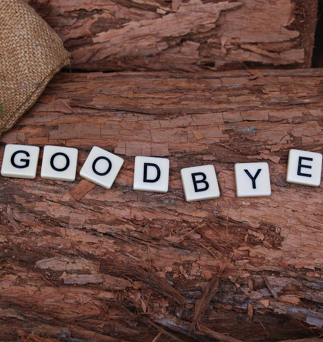 Goodbye (Pixabay, Kate Cox fotója)