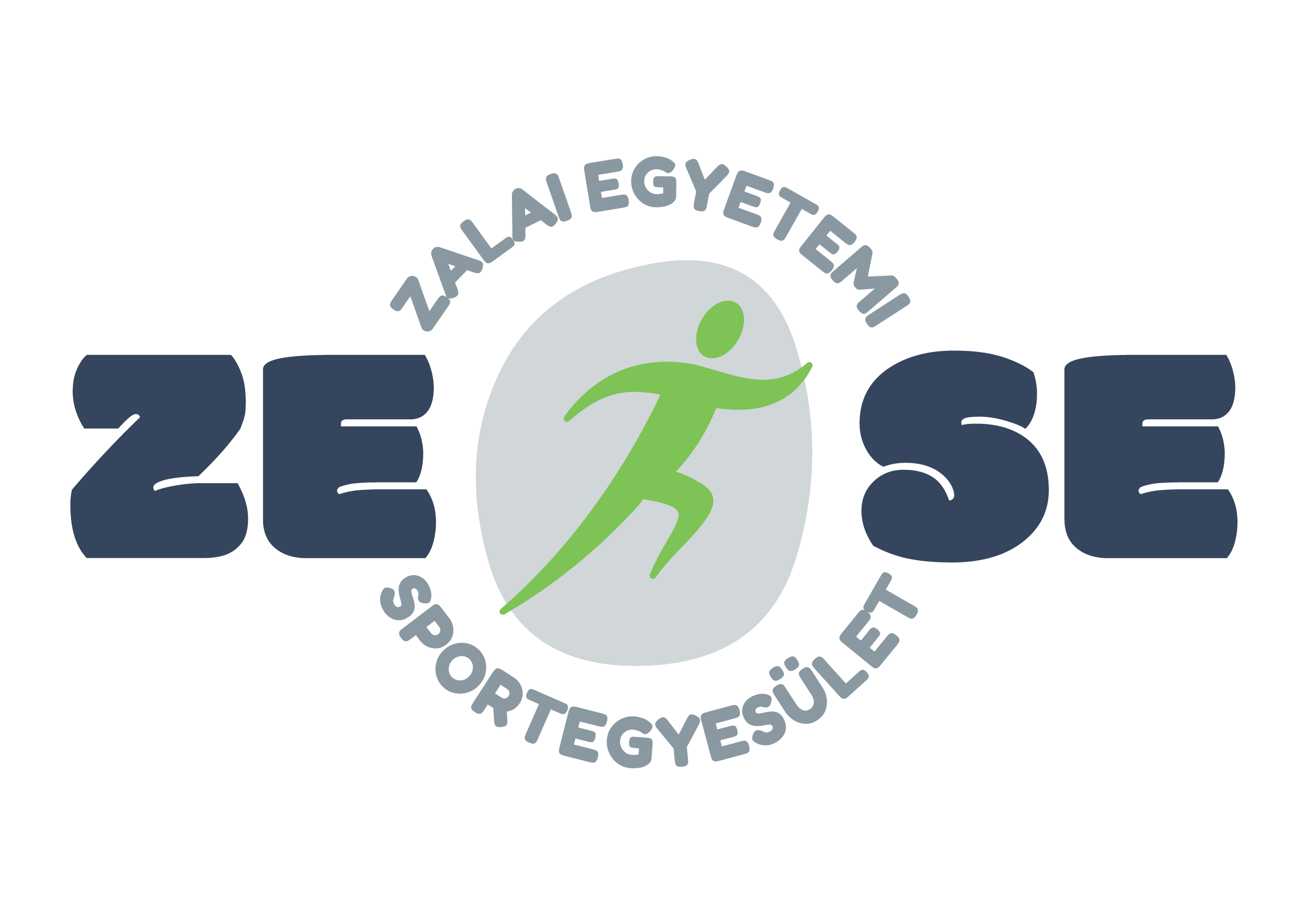 zese_logo-v53_w-official-colors_rasterized-png-transparent.png